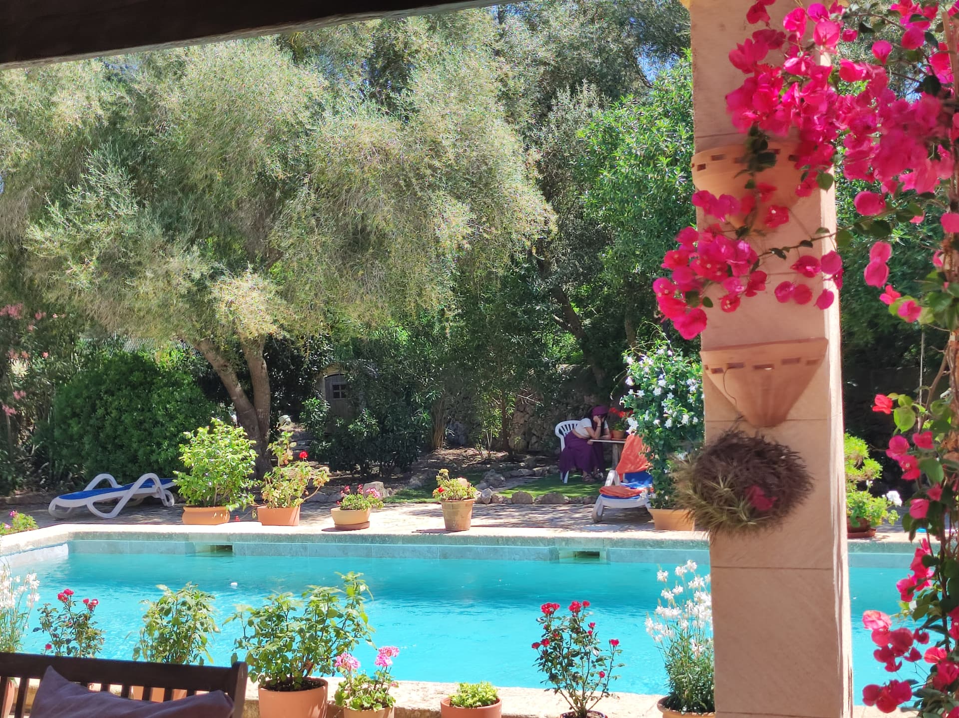 Pool der Finca von Vida Libre mit Bougainvillea und Olivenbäumen