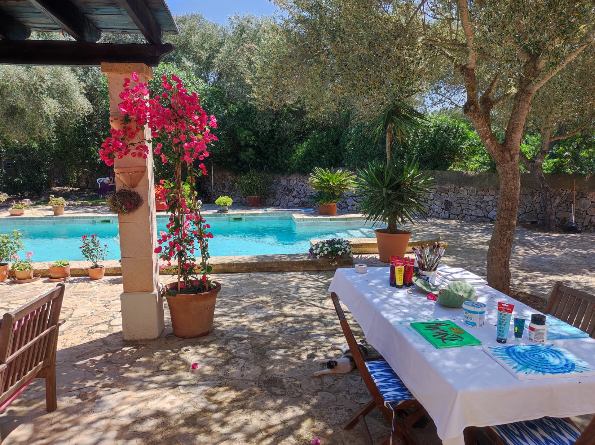 Terrasse und Pool der Finca von Vida Libre auf Mallorca mit Olivenbäumen und Bougainvillea
